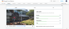 Google выпустила публичную бета-версию анализатора видео на базе искусственного интеллекта