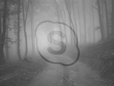 На iPhone 8 не работает Skype