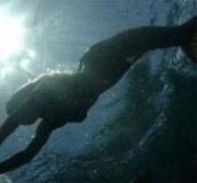 Видео с русалкой стало хитом YouTube