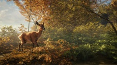Симулятор охоты theHunter: Call of the Wild выпустят на консолях