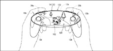 Nintendo проектирует новый игровой контроллер с экраном-тачпадом