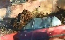 Муж отомстил жене за анкету на сайте знакомств