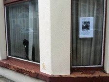 Кошка, сидящая под объявлением о своей пропаже, стала звездой Интернета