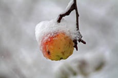 iPhone не любит холод