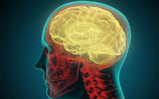 Мозг человека в сотни тысяч раз быстрее суперкомпьютеров