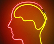 Ученые подтверждают возможность передачи сигналов из мозга в мозг через Интернет