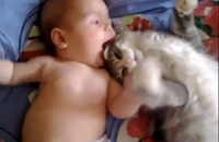 Дружба кошки и младенца покорила Интернет