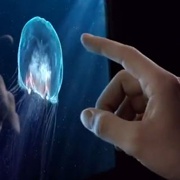 Google делает Retina Chromebook?