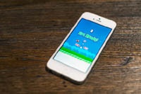 Журналистка собрала деньги на поиски создателя Flappy Bird