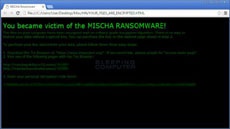У приложения-вымогателя Petya появился напарник