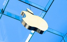 Приключения Apple в Индии: власти отказались обсуждать налоговые льготы для iPhone индийской сборки