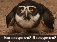 Серьёзное исследование  интернет-зависимости