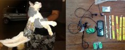 Кот - контрабандист пытался пронести в тюрьму напильники и мобильники