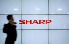 Sharp вложит 570 млн долларов в OLED-производство