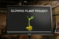 Kickstarter запретил финансировать создание ГМО