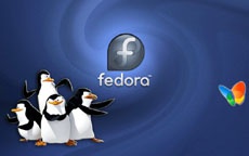 Fedora 39 — универсальное решение