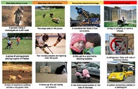 Распознавание изображений значительно улучшает поиск в Интернете