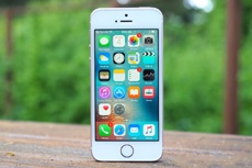 Apple запустит пробное производство iPhone в Индии в мае