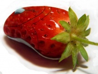 Сунул грека фотку в сети!