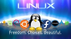 Возможен Linux-ноутбук Xiaomi с поддержкой приложений Android
