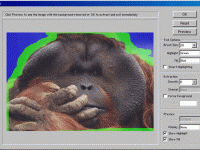 Adobe Photoshop Lightroom 3 вышел на рынок
