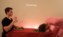 Парень взорвал интернет, показав, как едят животные