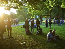 Google и Niantic поделились статистикой трафика в Pokemon GO