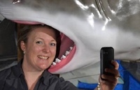 Из-за «селфи» погибло больше людей, чем от клыков акул