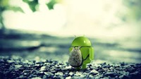 Як відновити видалене фото та відео на Android