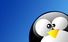 В новый Linux попала ошибка, «способная убить все ядро»