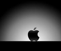 В Apple намерены узнать, как в ФБР взломали iPhone террористов