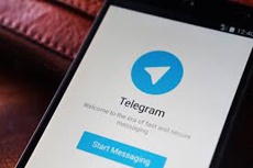 Во Франции суд арестовал 16-летнюю девушку за пропаганду ИГ через Telegram