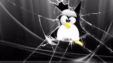 ОС Linux запретили поставлять в Крым