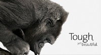 Производитель Gorilla Glass раскритиковал «дорогие и тяжелые» сапфировые дисплеи