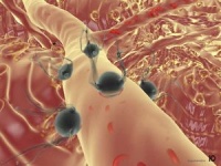 От энергетического кризиса спасут микробы