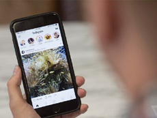 Instagram начнет размывать "деликатные" фото