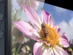 Производство дисплеев для iPhone 5S стартует в июне