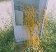 На Фонтане неизвестные потрошат телекоммуникационные боксы: пострадавший интернет-провайдер уверен, что это не обычная кража