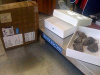 Вместо iPhone 5 «Почта России» доставила камни