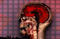 Страх перед лихорадкой Эбола удвоил закачки игры о вирусах