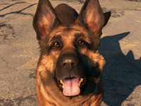 Разработчики Fallout 4 займутся дополнениями только после релиза игры