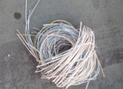 В Запорожской области поймали воров интернет-кабеля