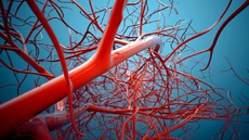 Hitachi задействует камеру смартфонов для идентификации владельцев по рисунку вен