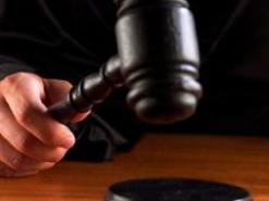 20 тендерных чемпионов IT-отрасли