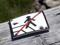 Twitter резко забанил эксперта по киберзащите