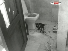 Смерть в Instagram: убитая Оскаром Писториусом модель предвидела свою участь