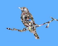 Пентагон хочет предсказывать будущее с помощью Twitter