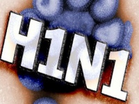 Flu Trends - Мониторинг гриппа онлайн