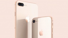 В "Борисполе" изъяли партию незаконно ввозимых iPhone 8