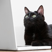 Как смотреть больше видео от одной зарядки на Windows 8